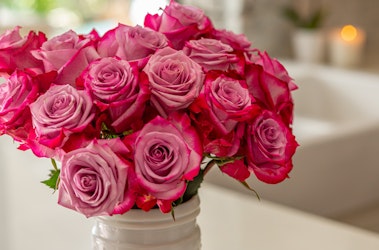 Vibrant bouquet of fresh pink roses with subtle hints of white, beautifully arranged in a white vase against a softly blurred background featuring warm lighting.