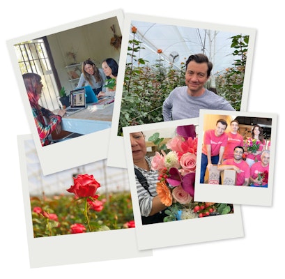 A collage of four photos: a group of women in a craft session, a man smiling outdoors, a close-up of a vibrant red rose, and a happy family posing together in pink outfits.