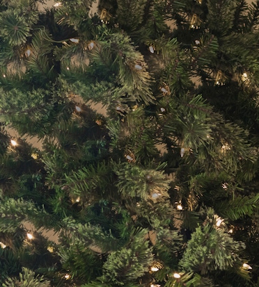 Lush green evergreen branches adorned with warm twinkling lights, creating a festive atmosphere.