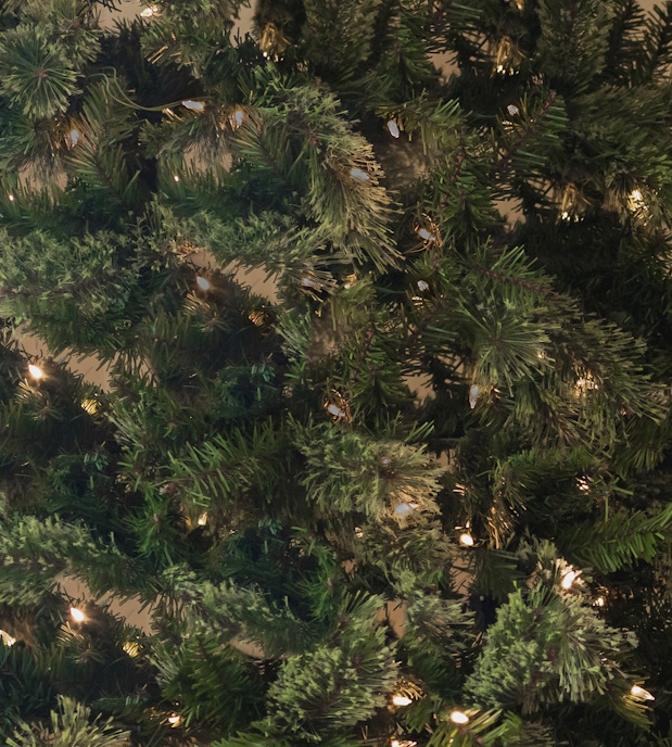 Lush green evergreen branches adorned with warm twinkling lights, creating a festive atmosphere.