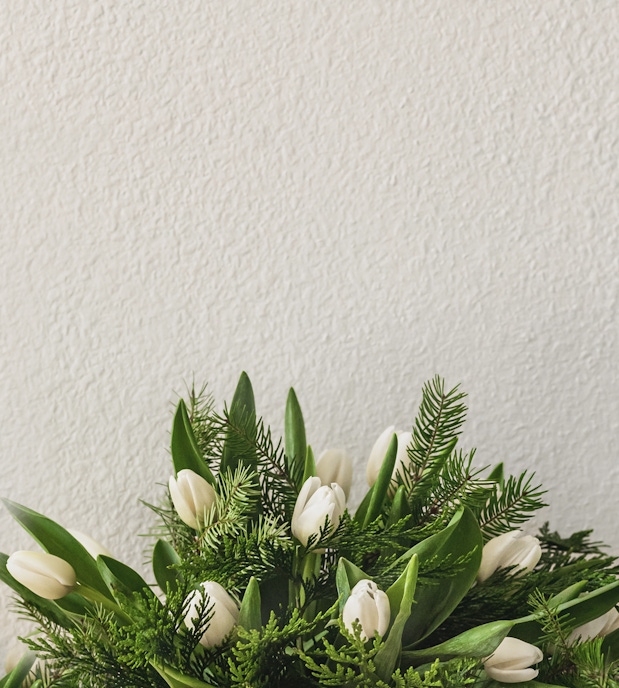 Elegant white tulips nestled among fresh green foliage in a simple, stylish arrangement.