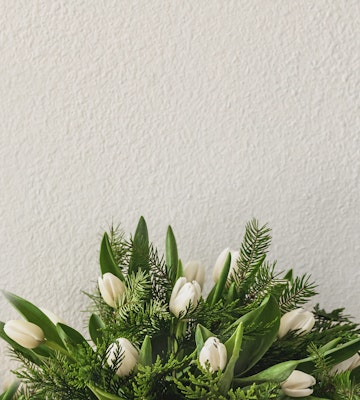 A lush bouquet of white tulips partially opened, nestled among vibrant green ferns and foliage against a textured white wall, composing a refreshing springtime display.