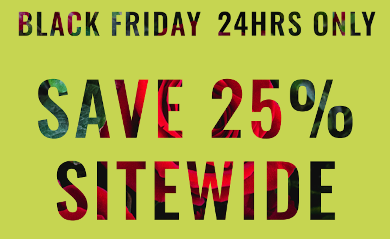 Black Friday