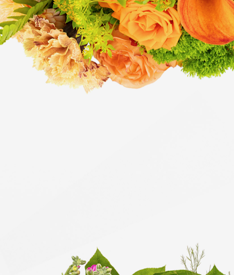 Vibrant floral arrangement featuring orange roses, lush greenery, and delicate blooms.