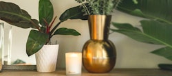 A cozy home interior scene with a candle, fresh potted plants, and a stylish golden vase on a wooden shelf, creating a tranquil and warm atmosphere.