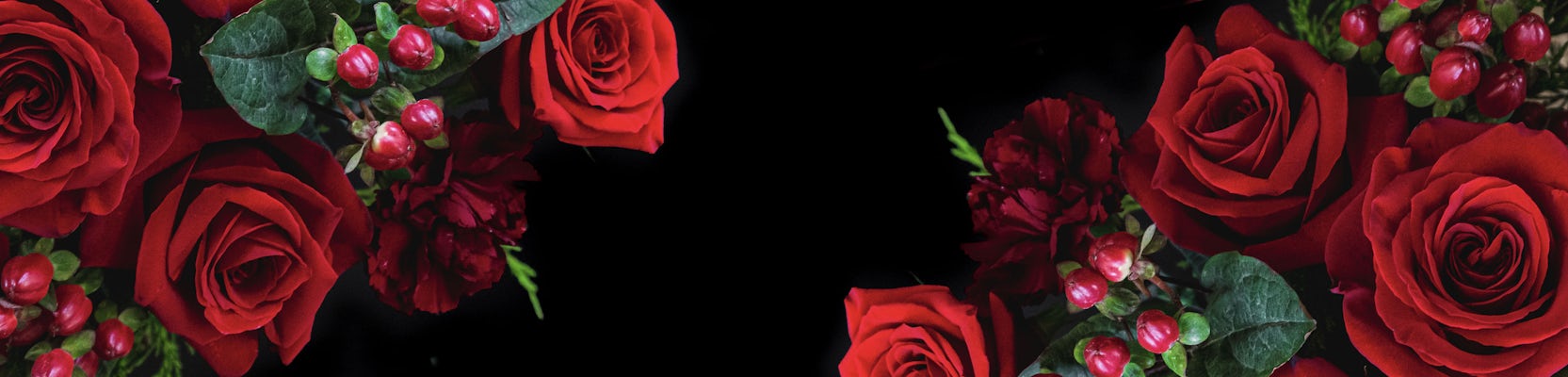 Vibrant red roses with lush green foliage, creating an elegant floral border.