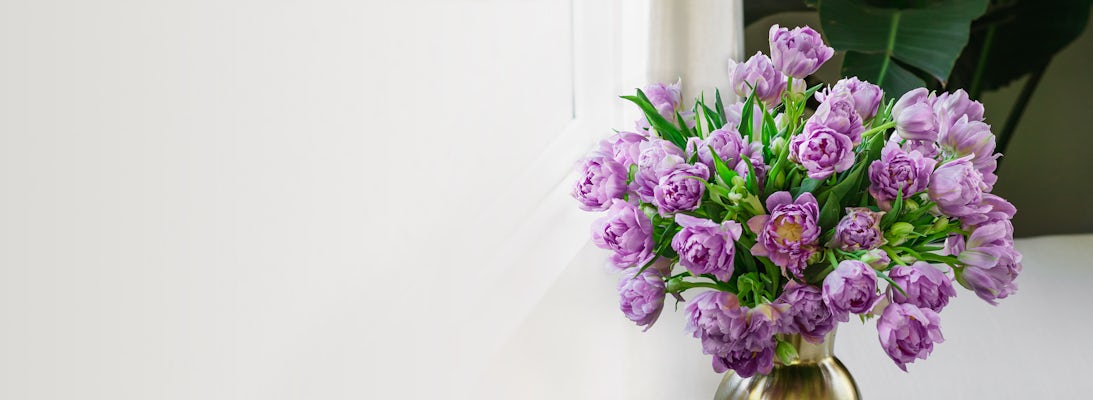 Beautiful lavender tulip bouquet positioned elegantly in a vintage vase by a window.