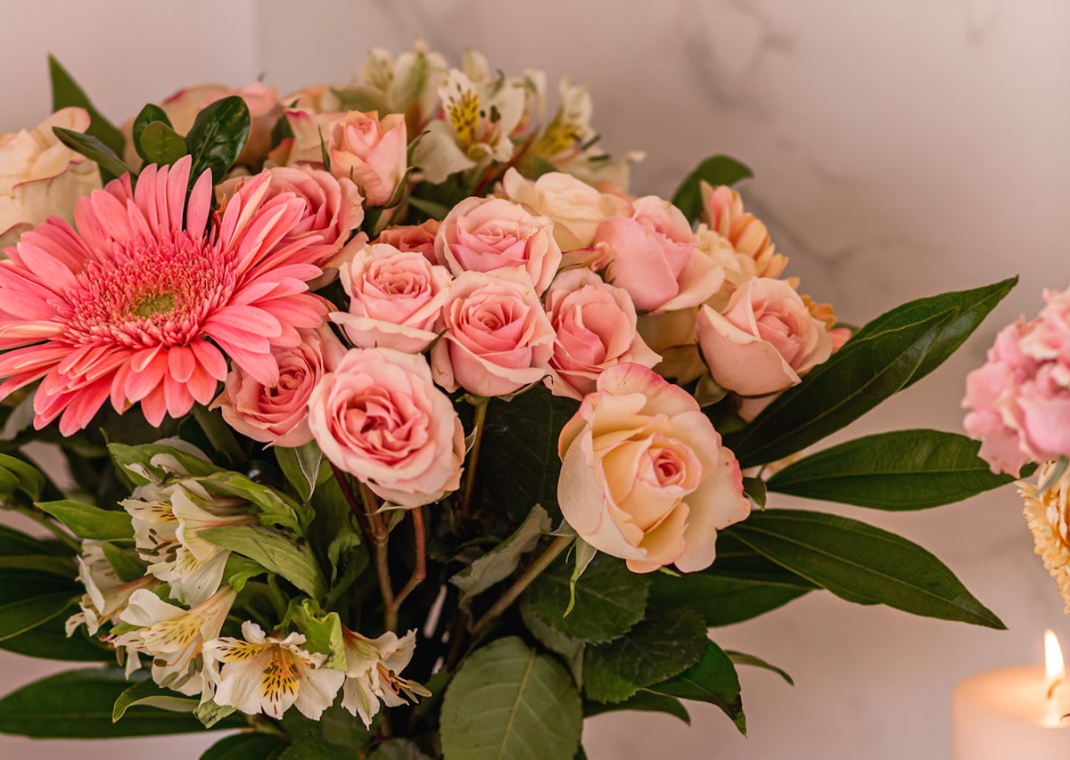 Luxury Flower Delivery Premium Flowers BloomsyBox