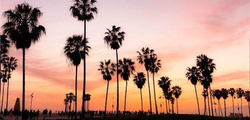 Silhouetted palm trees against a vibrant sunset sky with hues of orange and pink at a beachside park, with people walking and enjoying the scenic view.