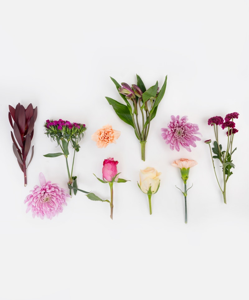 Various fresh flowers including roses, chrysanthemums, and other blooms orderly arranged in a row on a white background demonstrating a colorful botanical collection.