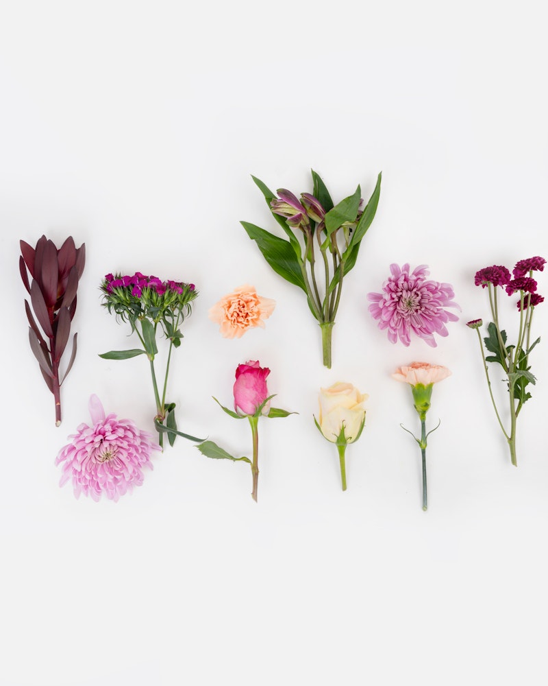 Various fresh flowers including roses, chrysanthemums, and other blooms orderly arranged in a row on a white background demonstrating a colorful botanical collection.