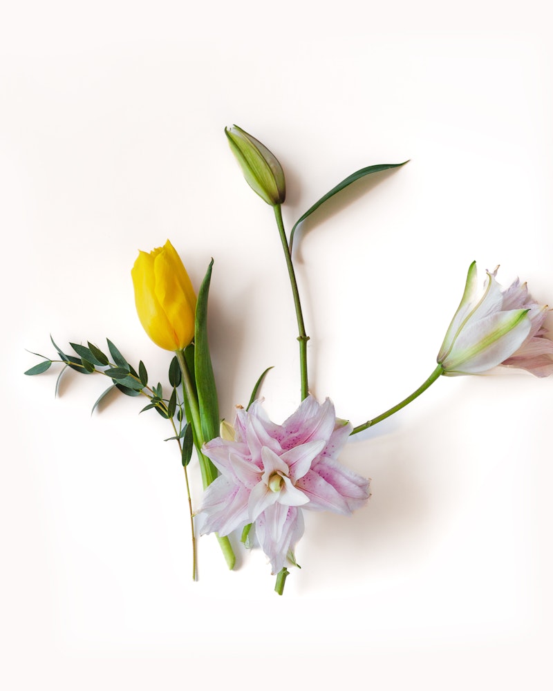 Elegant flat lay of assorted flowers including a yellow tulip, budding lilies, and pinkish-white blooms with green leaves against a clean white background.