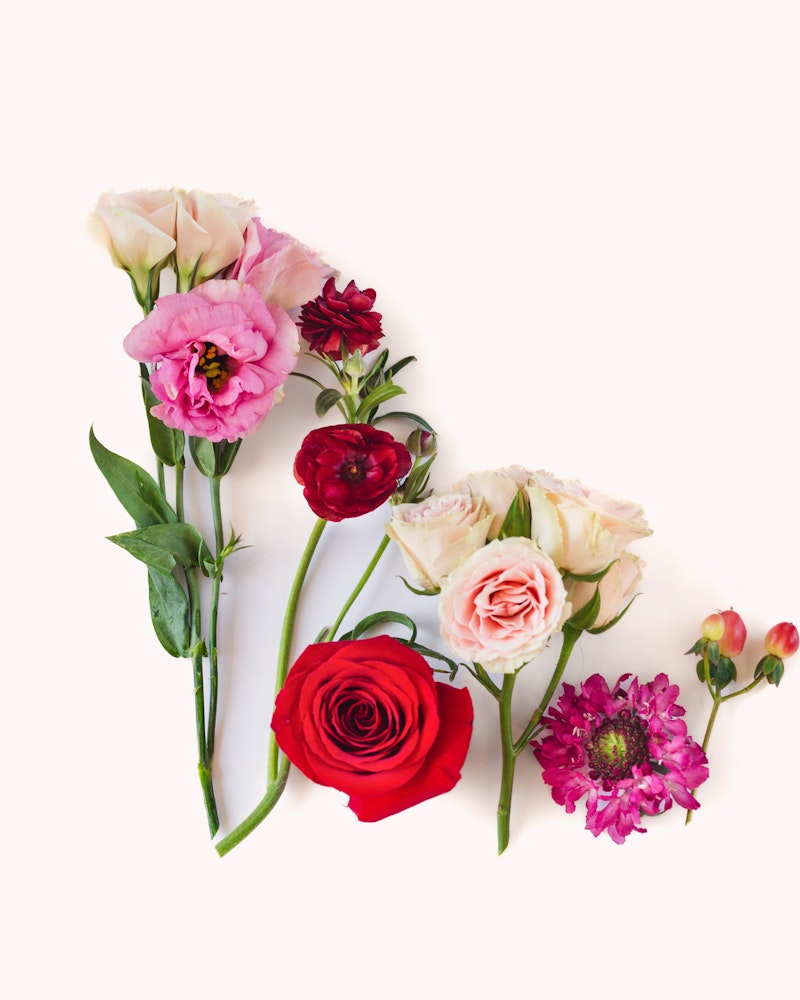 A beautiful array of flowers, including delicate pink peonies, a vibrant red rose, and soft blush roses, artistically arranged on a clean white background.