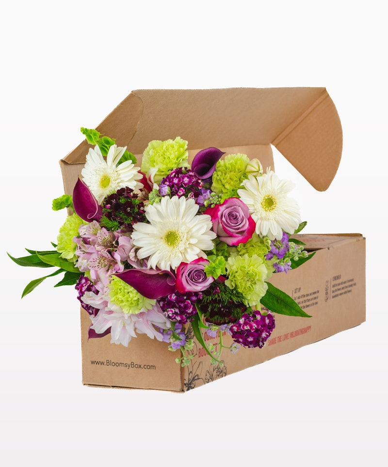 Vibrant bouquet of mixed flowers with roses, daisies, and lilacs spilling out from an open cardboard box on a white background.