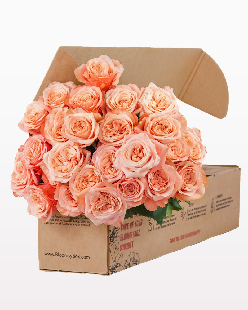 A cardboard box overflowing with a bouquet of fresh pink roses against a clean white background, with the website BloomsyBox.com printed on the side.