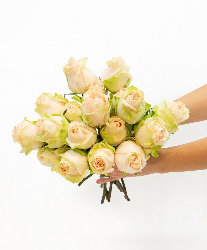 A delicate bouquet of soft peach roses with green accents, elegantly held in hands.