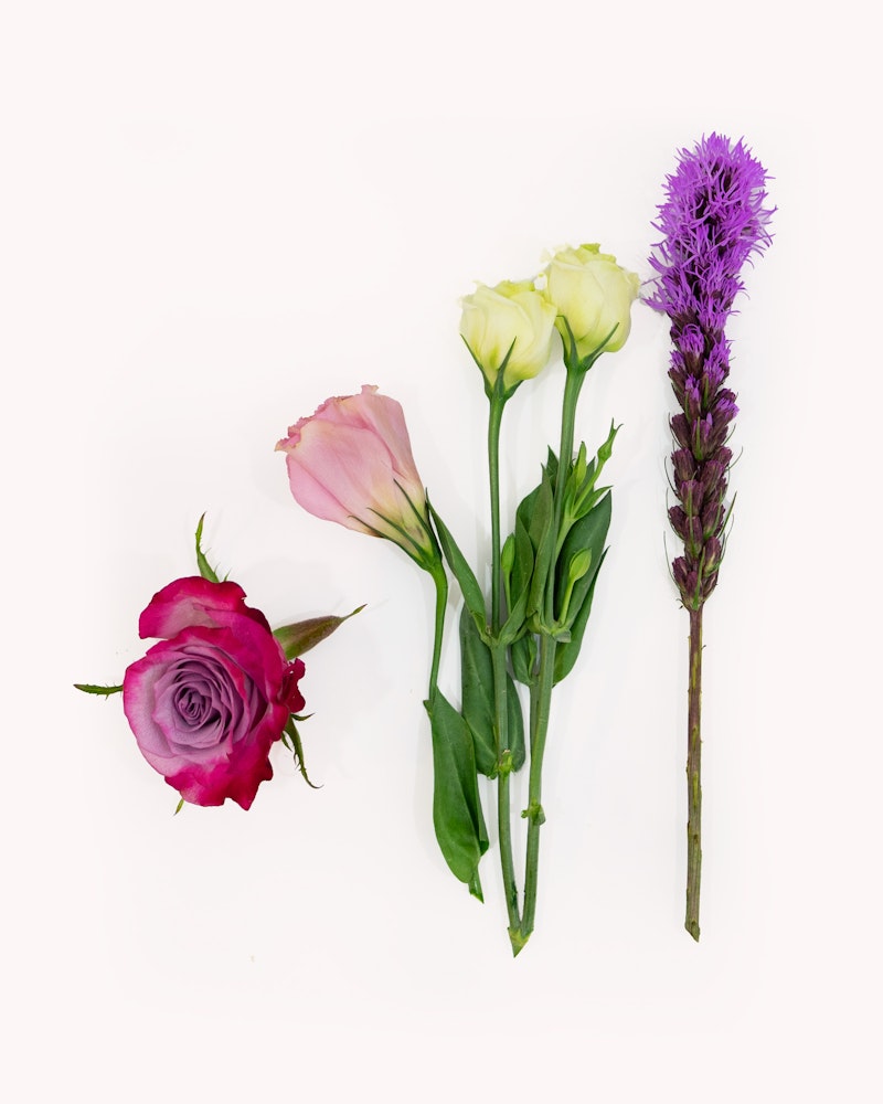 Assorted flowers including a pink rose, light yellow roses, and a purple spikey flower laid out on a white background, representing a fresh botanical collection.