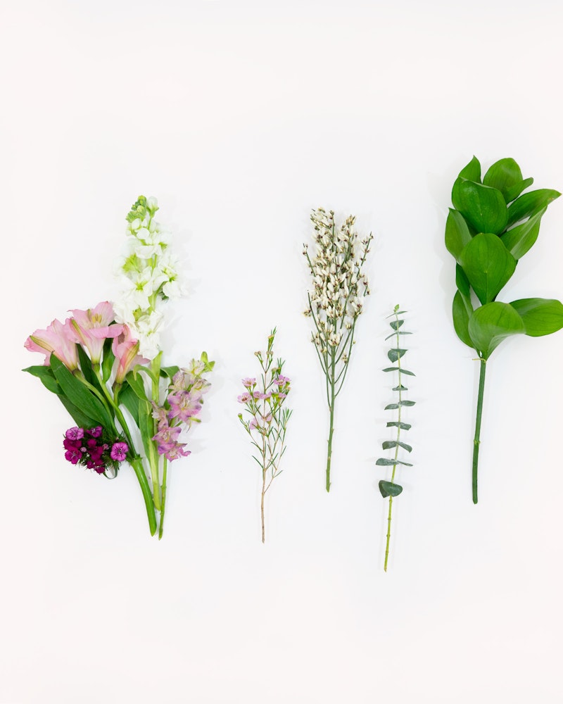 Assorted fresh flowers and greenery neatly arranged on a white background, including snapdragons, dried herbs, eucalyptus, and broad green leaves.