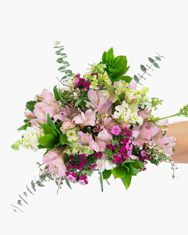 Hand presenting a vibrant bouquet with pink and purple flowers, green leaves, and filler plants against a white background, perfect for weddings or gift-giving.