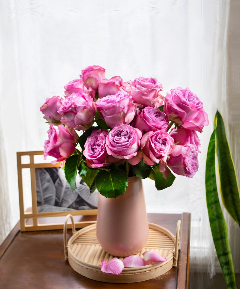 Vibrant bouquet of pink roses in a soft pink vase on a wooden tray beside a window with sheer curtains, with a few petals scattered around.