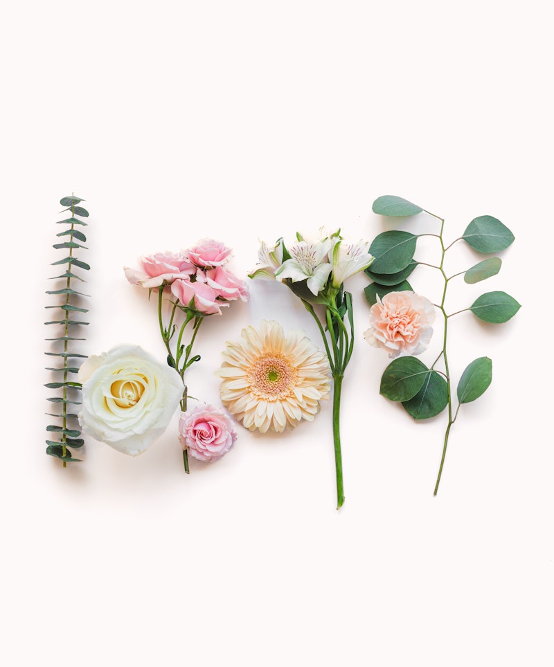 Elegant assortment of fresh flowers and greenery laid out on a white background, including pink roses, a white daisy, and eucalyptus leaves.