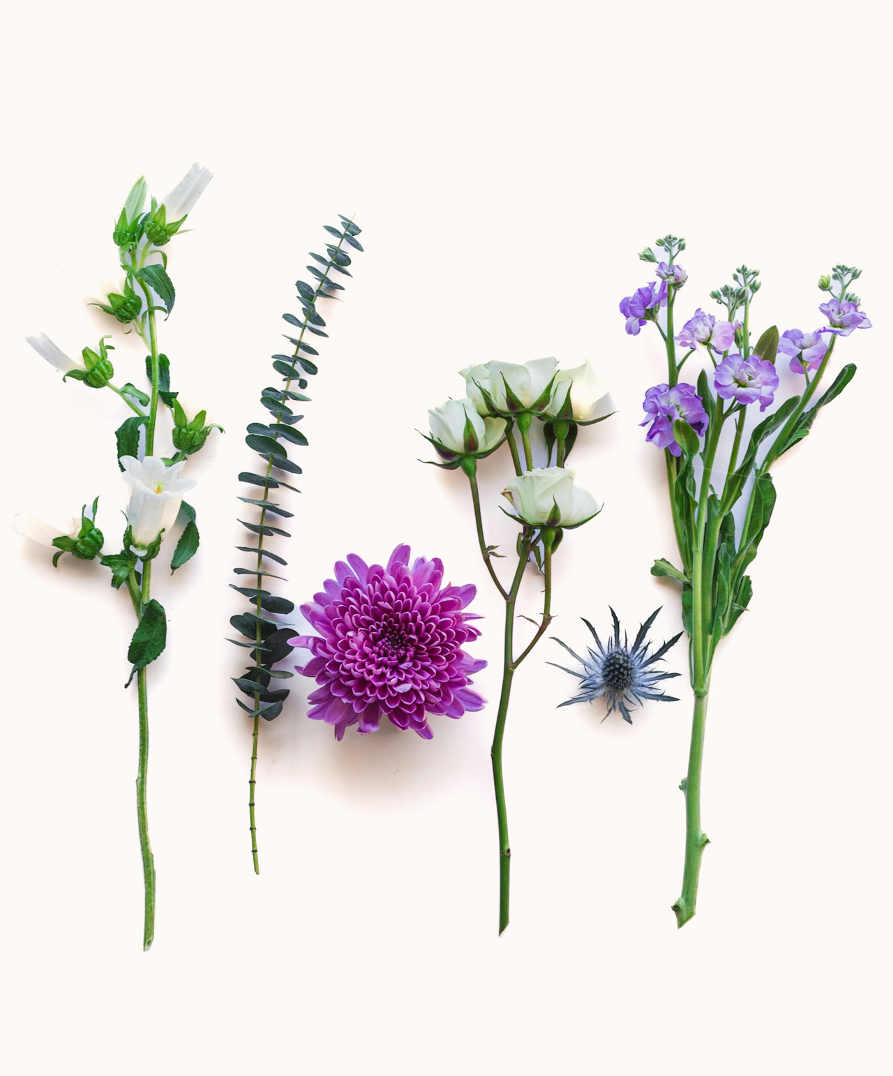 Vibrant floral arrangement featuring purple daisy, soft white roses, and lush greens.
