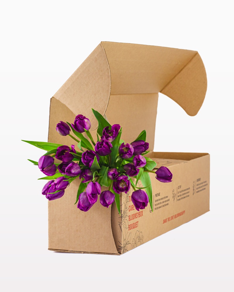A bouquet of vibrant purple tulips freshly arranged and spilling out from an open, brown cardboard flower box against a neutral white background.