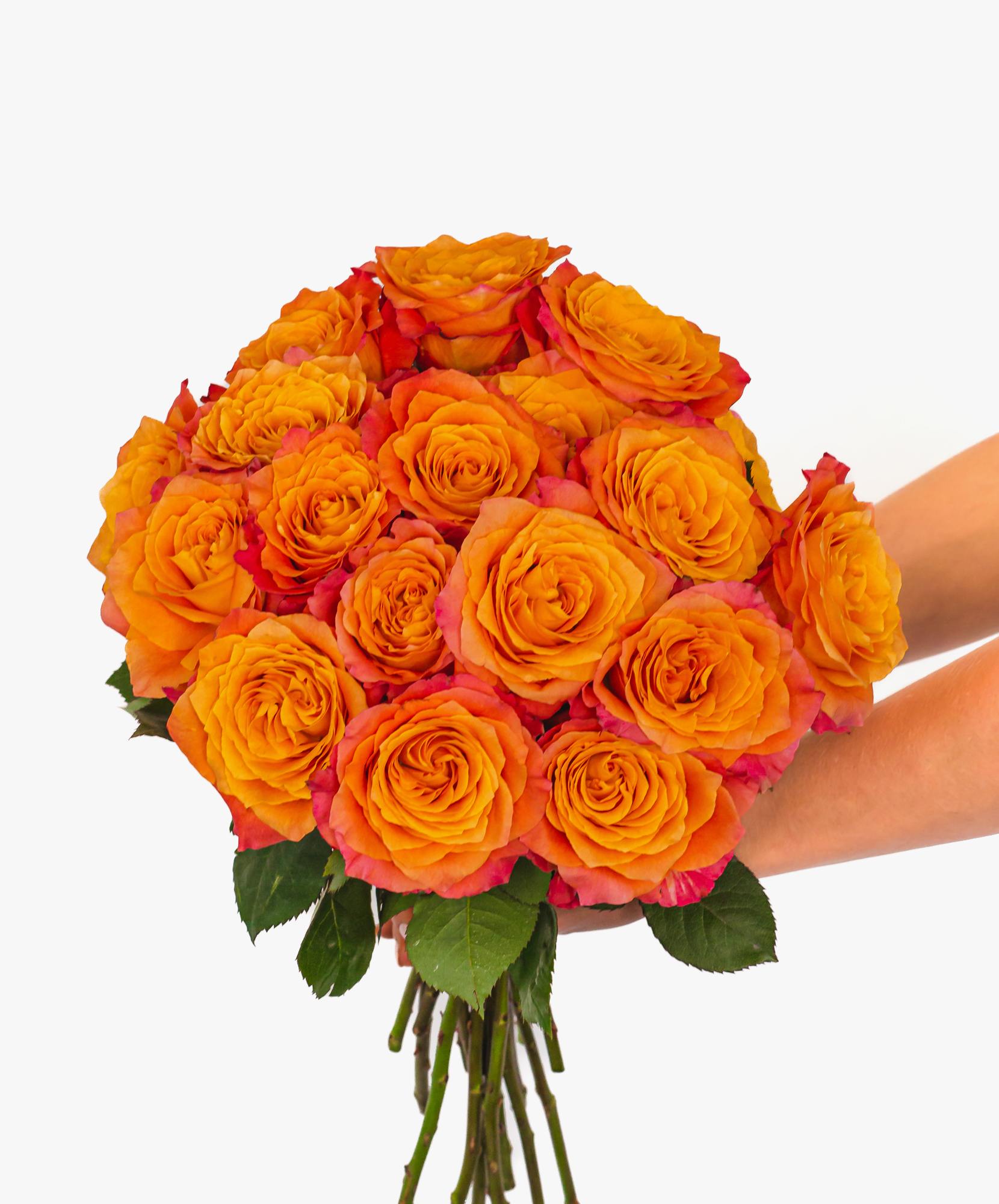 Roses Delivery Flowers Delivery BloomsyBox