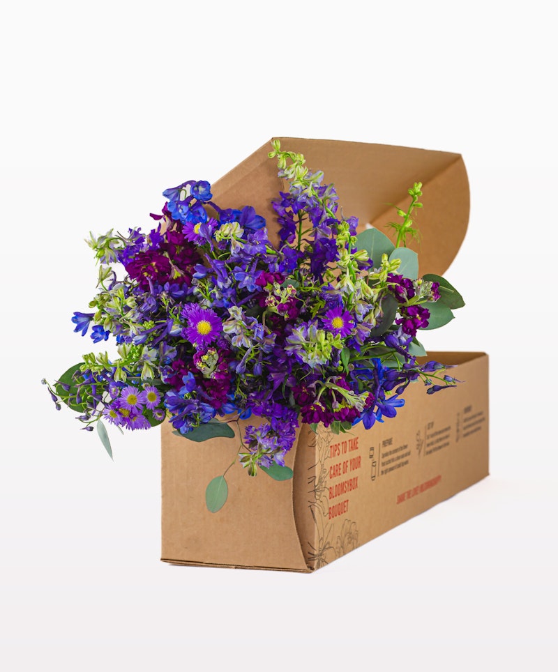 A vibrant bouquet of purple and blue flowers with green leaves spilling out from an open cardboard box against a neutral background, suggesting a flower delivery concept.