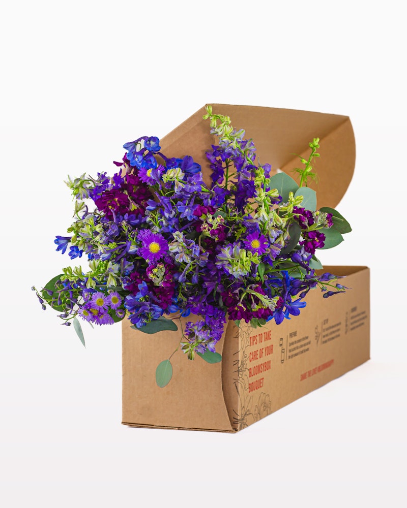 A vibrant bouquet of purple and blue flowers with green leaves spilling out from an open cardboard box against a neutral background, suggesting a flower delivery concept.