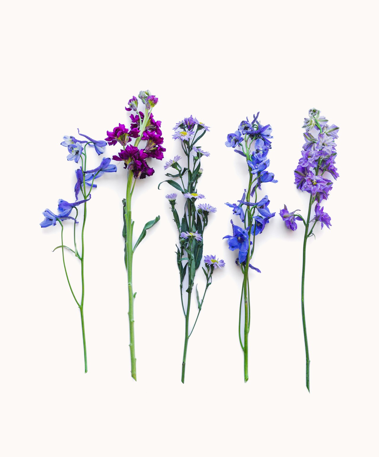 A vibrant assortment of purple and blue flowers arranged elegantly on a soft background.