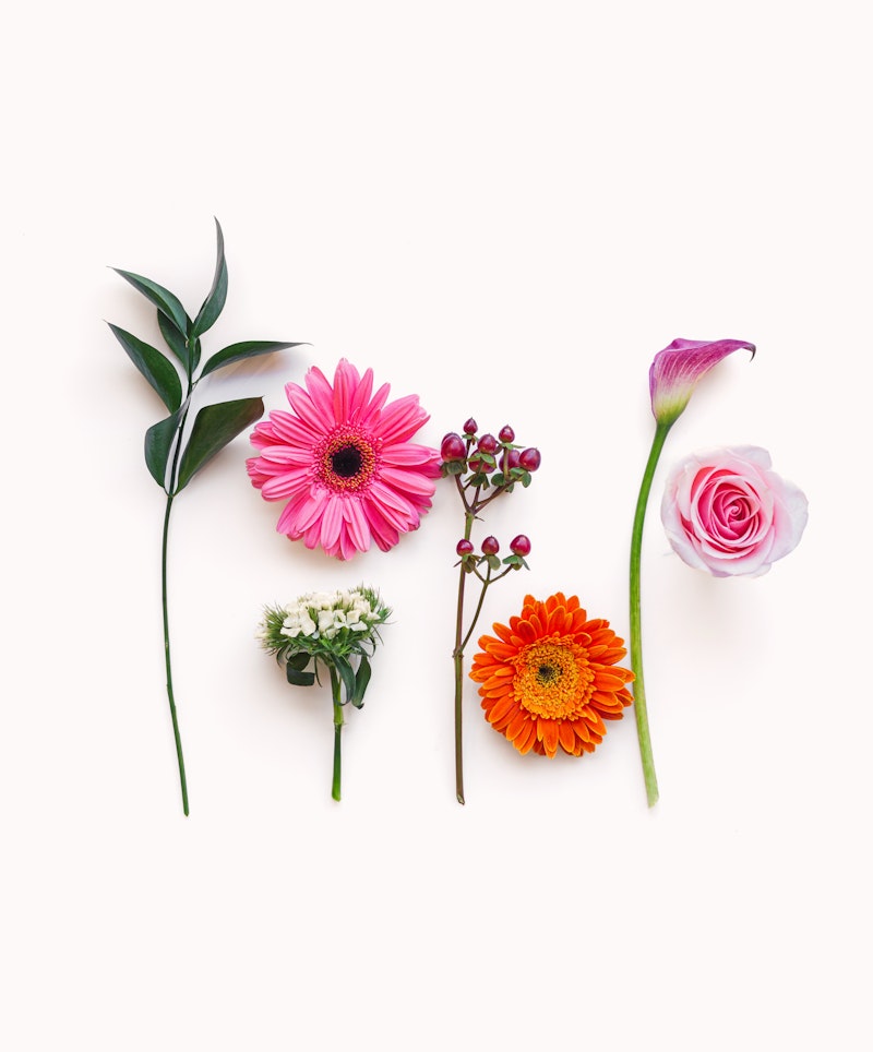 Vibrant assortment of fresh flowers including pink gerberas, orange daisies, and a delicate white blossom isolated on a clean white background.