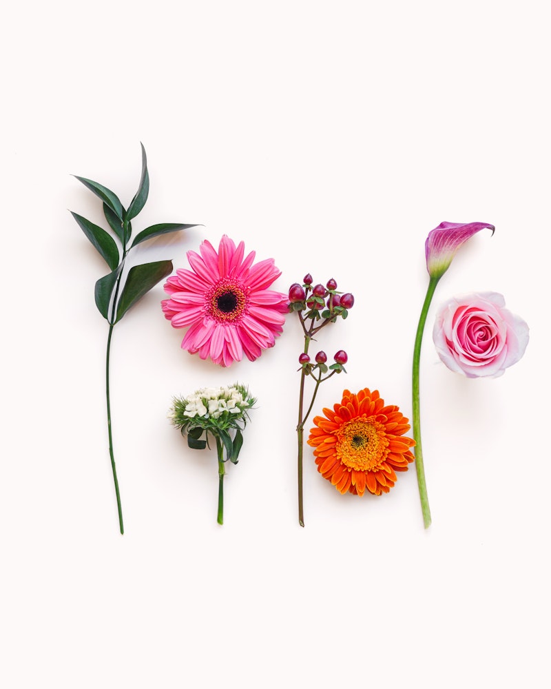 Vibrant assortment of fresh flowers including pink gerberas, orange daisies, and a delicate white blossom isolated on a clean white background.
