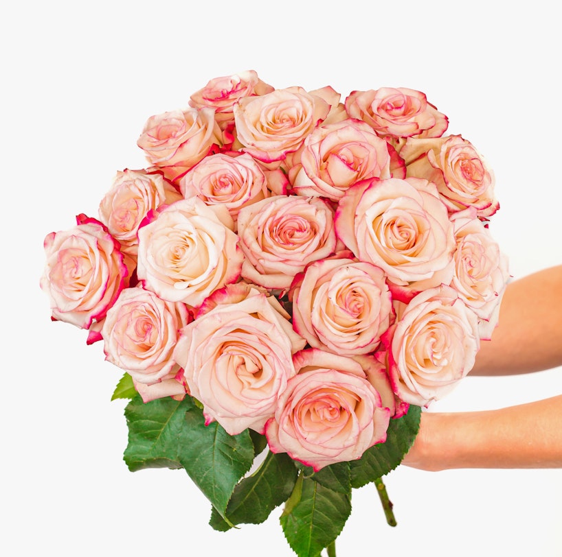 Send Roes Roses Delivery | Send Roses With Our Flower Delivery Service