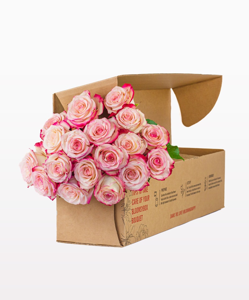 A bunch of fresh pink and white roses neatly arranged and spilling out of an open brown cardboard box, isolated on a white background.