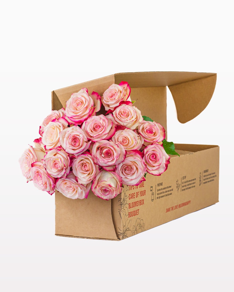 A bunch of fresh pink and white roses neatly arranged and spilling out of an open brown cardboard box, isolated on a white background.