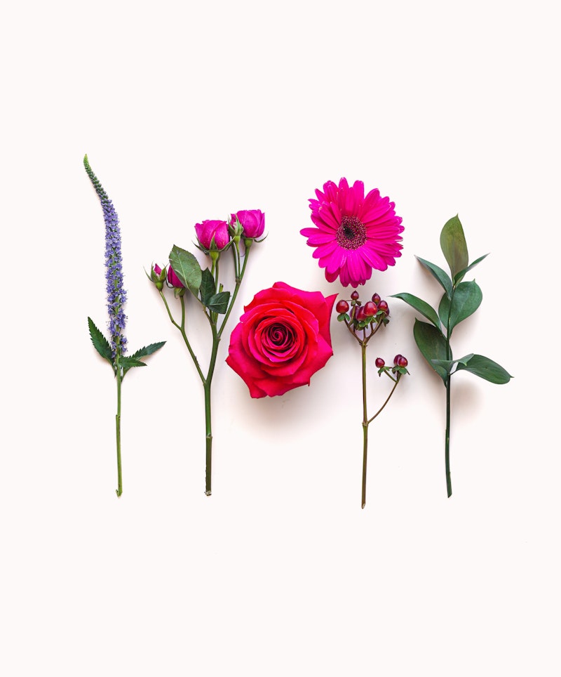 A vibrant collection of assorted flowers and greenery on a white background, including a classic red rose, a pink Gerbera Daisy, and sprigs of eucalyptus.