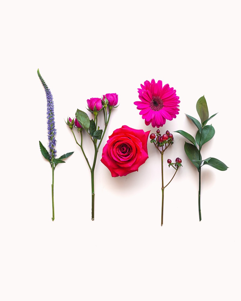 A vibrant collection of assorted flowers and greenery on a white background, including a classic red rose, a pink Gerbera Daisy, and sprigs of eucalyptus.