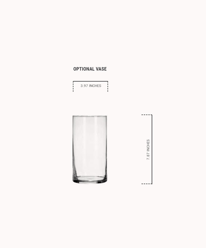 Clear glass vase with dimensions labeled, showing a height of 7.87 inches and a width of 3.97 inches, marketed as an optional vase for decor use.