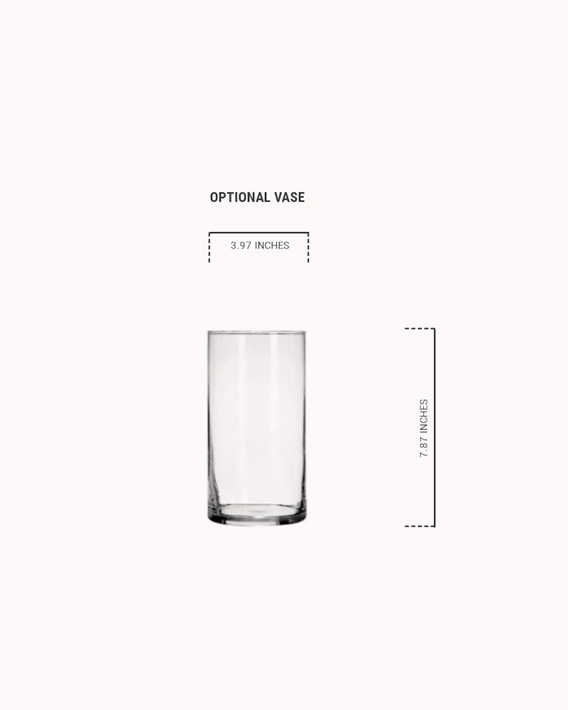 Clear glass vase with dimensions labeled, showing a height of 7.87 inches and a width of 3.97 inches, marketed as an optional vase for decor use.