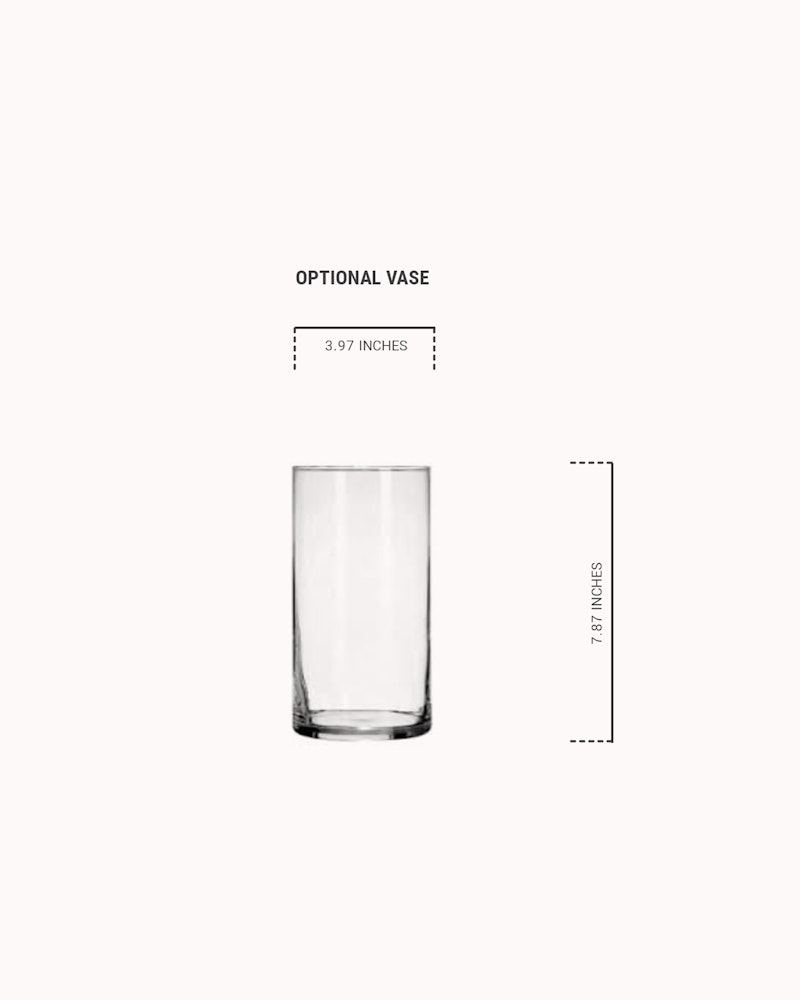 Clear glass vase with dimensions labeled, standing at 7.87 inches tall and 3.97 inches in diameter, isolated on a white background for a minimalist design.