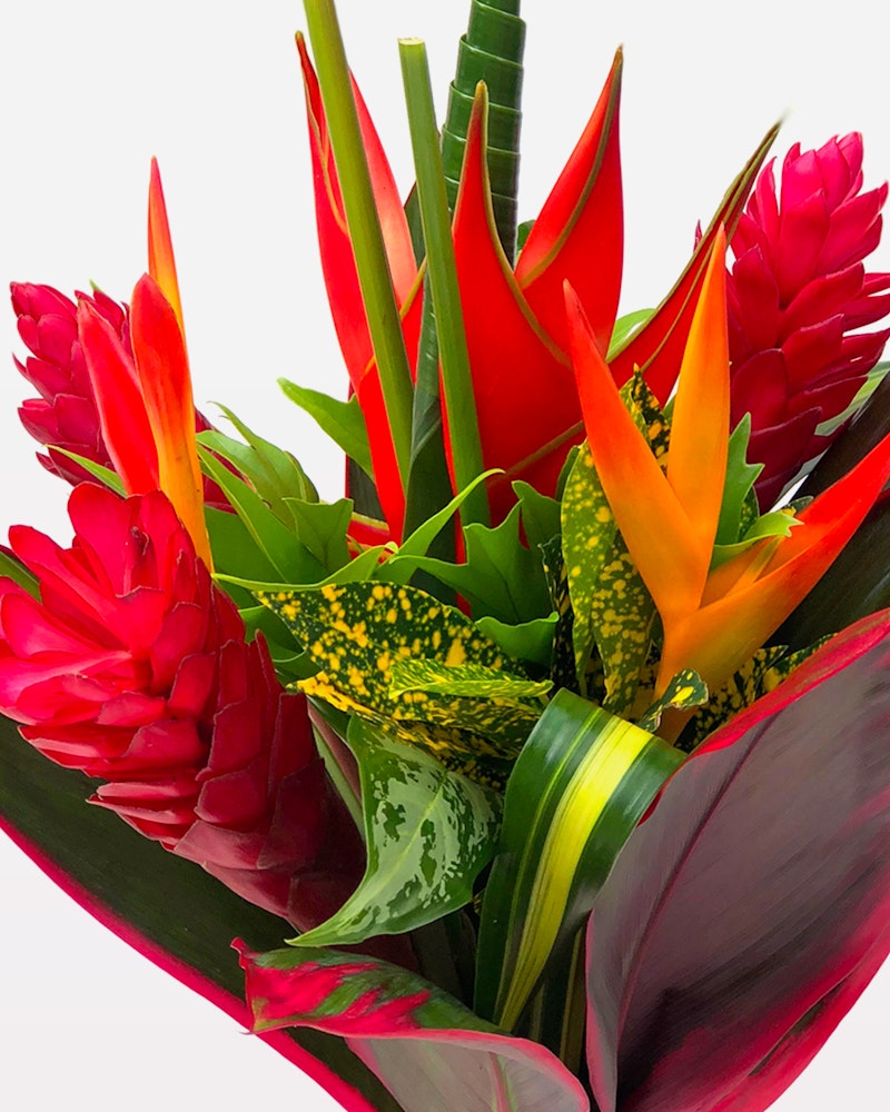 Tropical Treasure - Flower Delivery | BloomsyBox