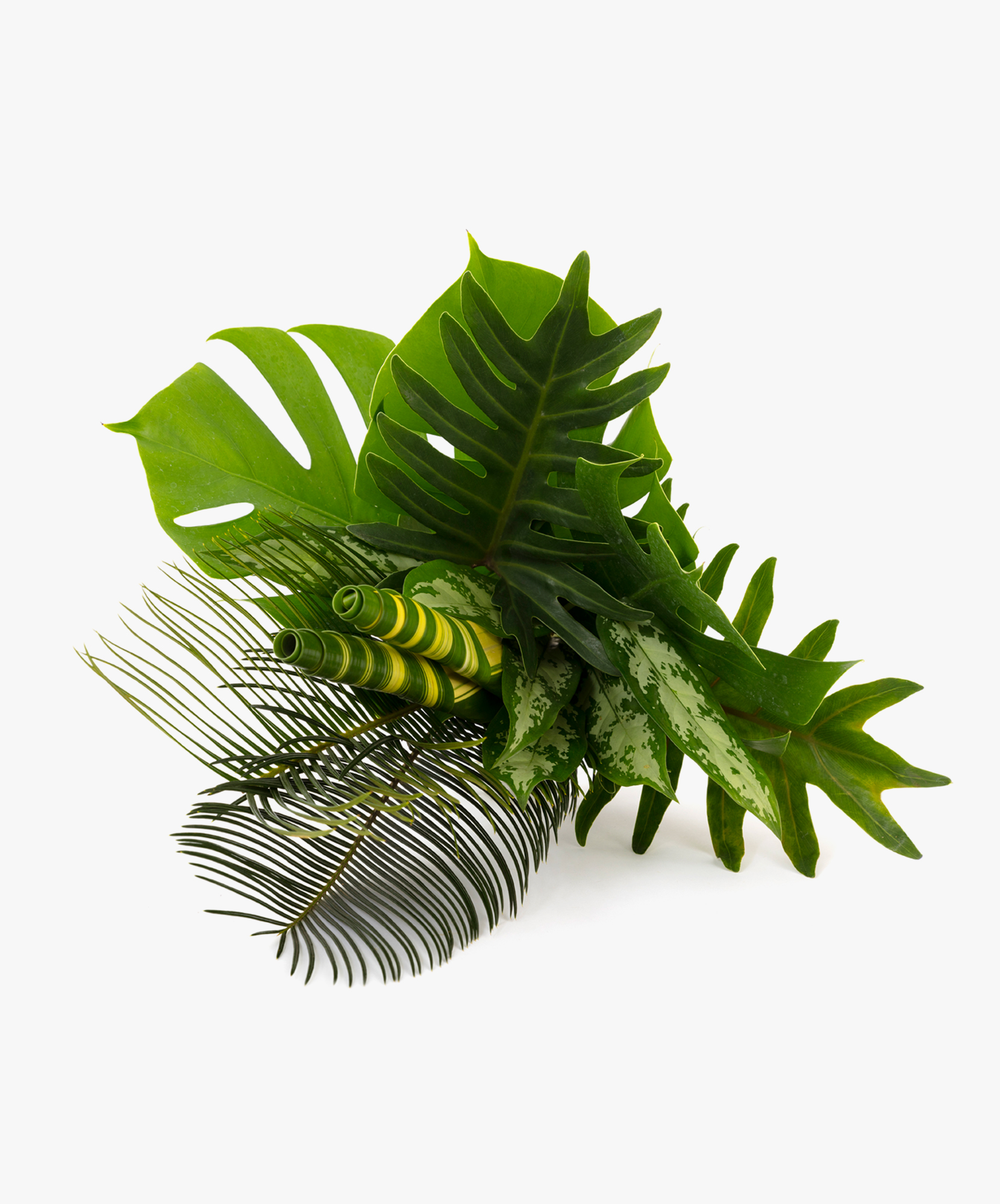 Lush green tropical leaves and vibrant plants arranged in a striking floral composition.
