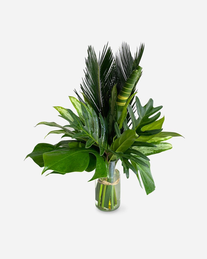 Lush green tropical foliage arranged in a clear glass vase against a white background, featuring a mix of palm fronds and broad-leaf plants.