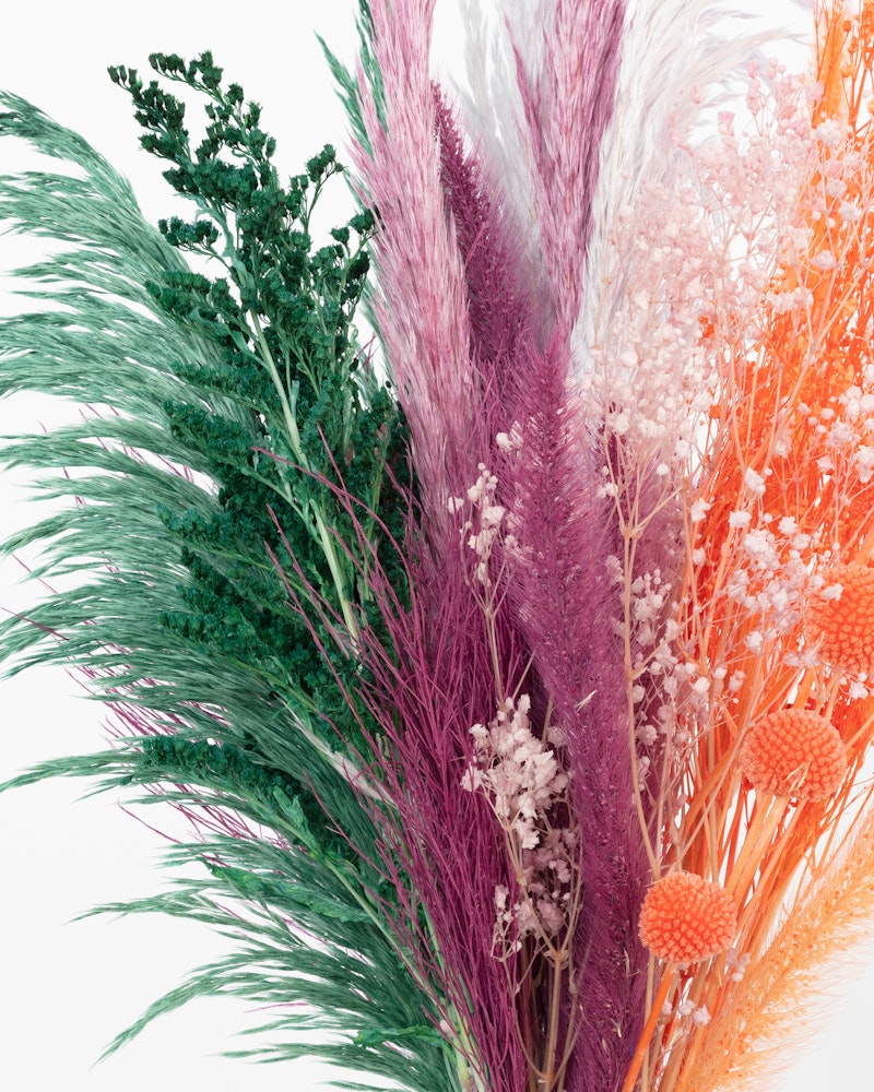 Vibrant bouquet of dried flowers in an array of colors including pink, white, green, and orange, artistically arranged and isolated on a white background.