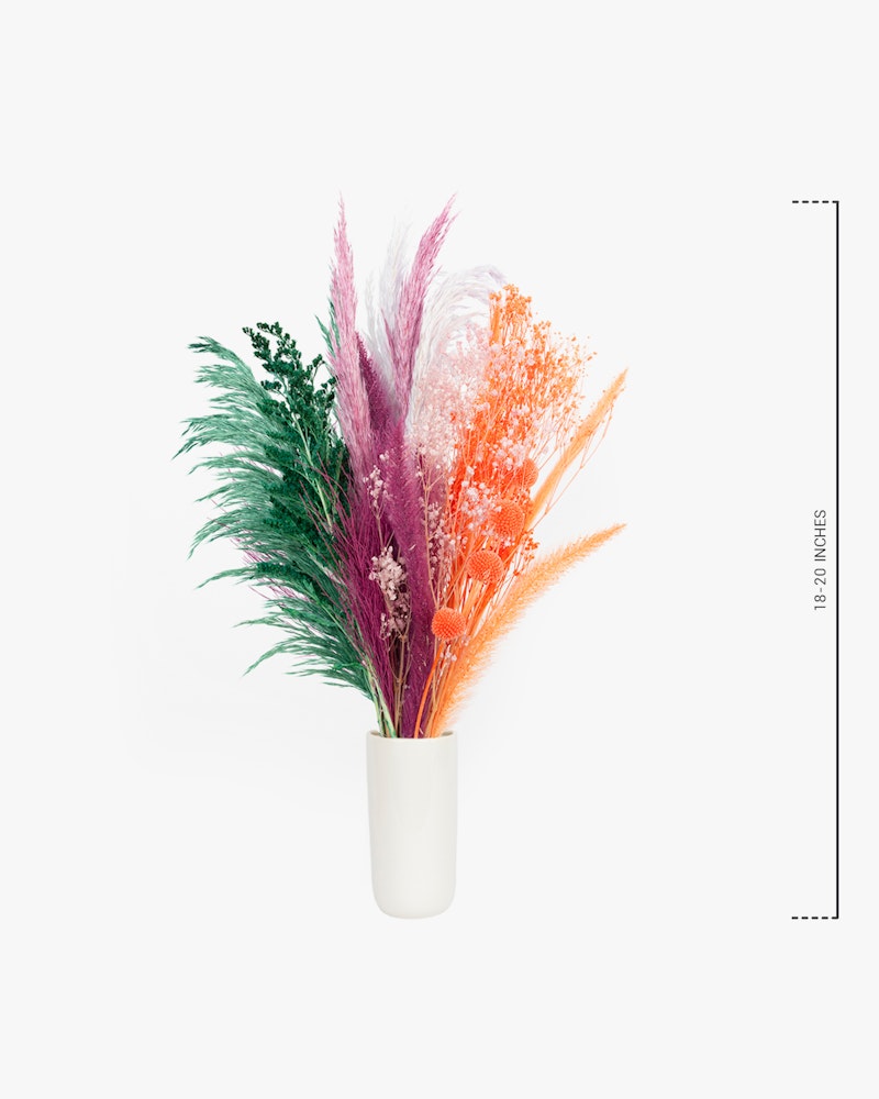 A vibrant bouquet of colorful pampas grass in pink, orange, and green hues artistically arranged in a white cylindrical vase against a crisp white background.