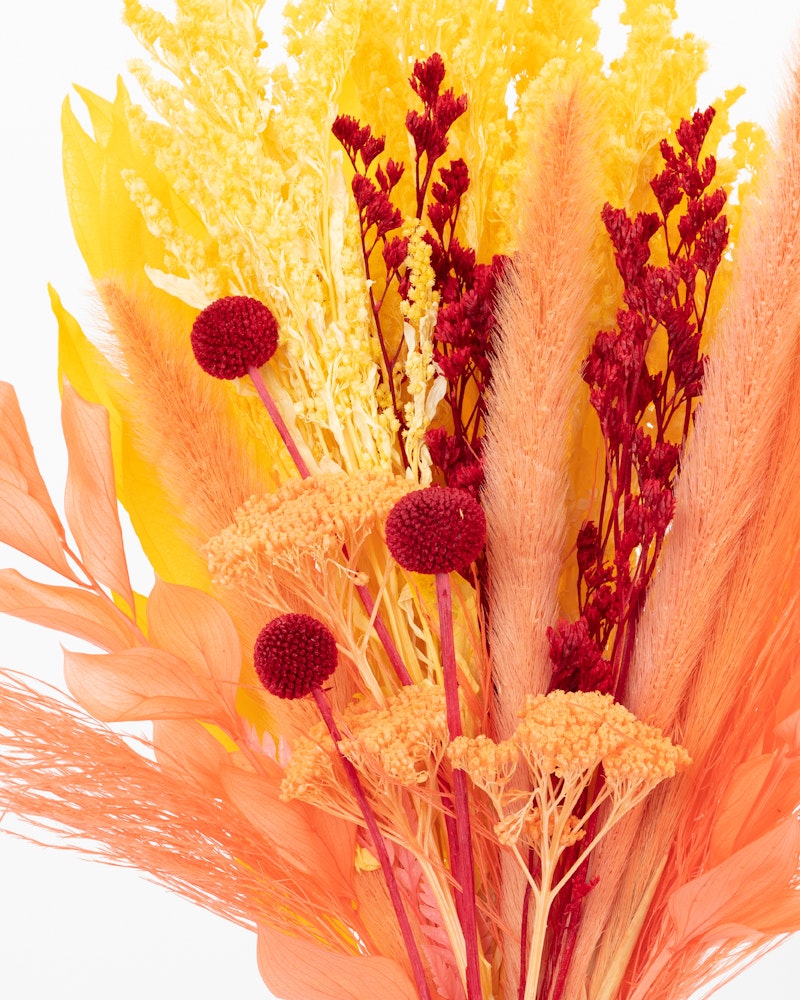 Vibrant bouquet of dried flowers with bold red, bright yellow, and soft orange hues, artfully arranged against a clean, white background.