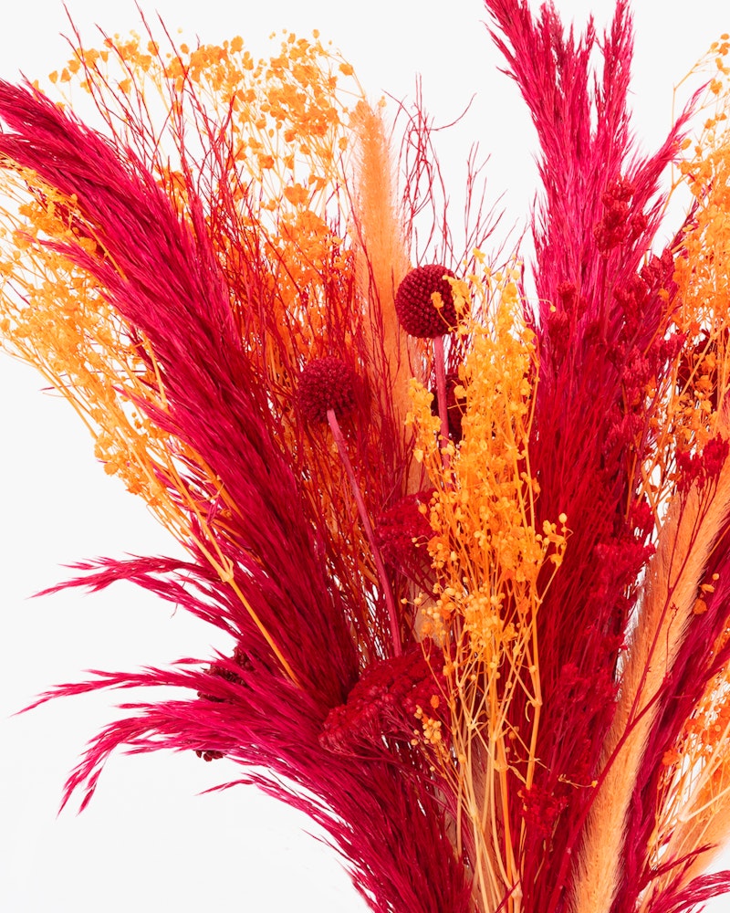 Vibrant bouquet of dried flowers featuring rich reds and bright yellows with various textures, arranged elegantly against a white background.