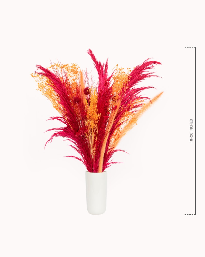 Brightly colored red and yellow dried pampas grass in a simple white vase against a clean white background, with size measurement on the right side.