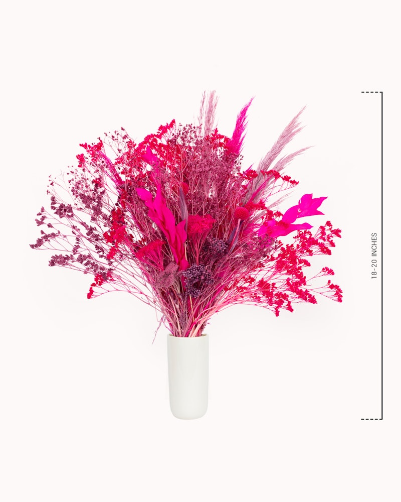 Vibrant arrangement of magenta dried flowers and pampas grass in a white vase against a clean white background with a ruler for scale on the right side.